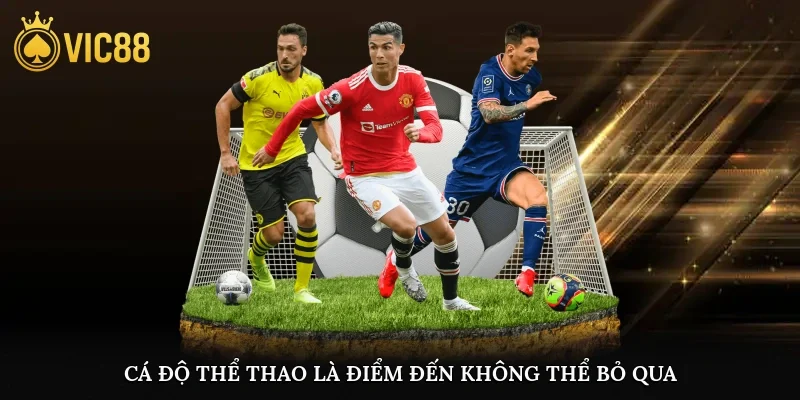 Cá độ thể thao là điểm đến không thể bỏ qua cho fan hâm mộ thể thao