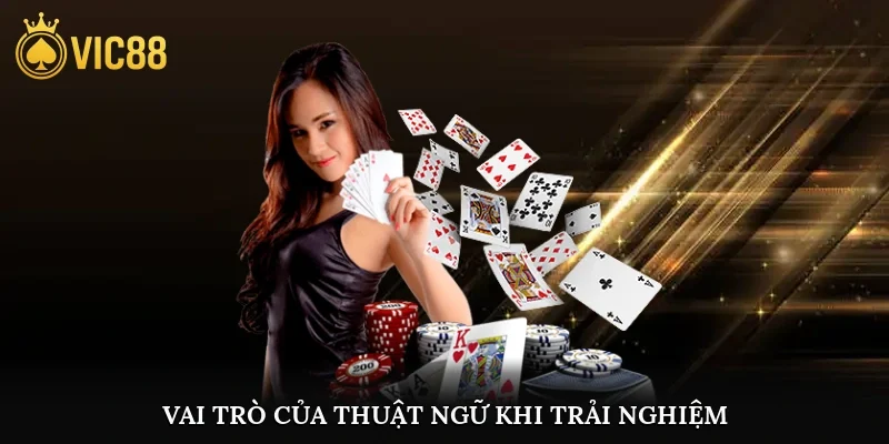 Vai trò của thuật ngữ khi trải nghiệm